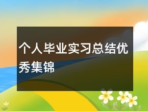 個人畢業(yè)實習(xí)總結(jié)優(yōu)秀集錦