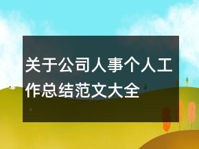 關于公司人事個人工作總結范文大全
