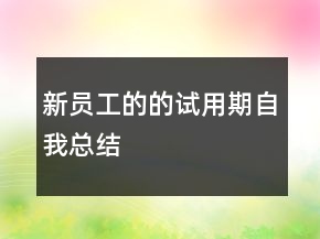 新員工的的試用期自我總結(jié)