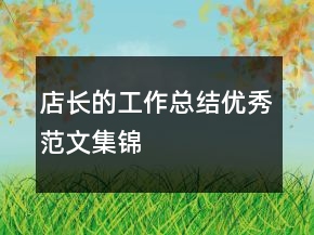 店長的工作總結優(yōu)秀范文集錦