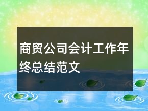 商貿(mào)公司會計工作年終總結(jié)范文