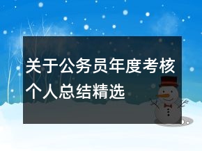 關(guān)于公務(wù)員年度考核個人總結(jié)精選