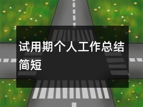試用期個(gè)人工作總結(jié)簡(jiǎn)短