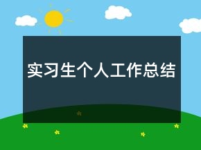 實(shí)習(xí)生個(gè)人工作總結(jié)