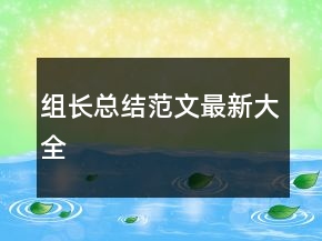 組長總結(jié)范文最新大全