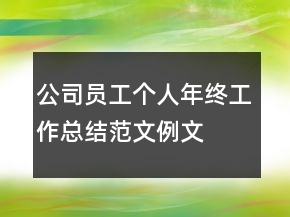 公司員工個人年終工作總結范文例文