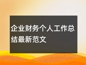 企業(yè)財務個人工作總結最新范文