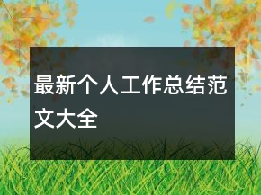 最新個(gè)人工作總結(jié)范文大全