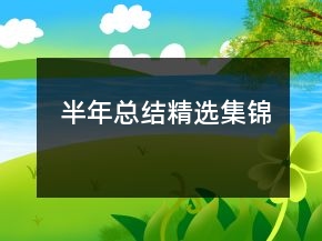 半年總結(jié)精選集錦