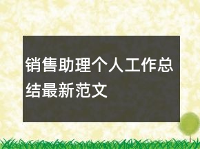 銷售助理個(gè)人工作總結(jié)最新范文