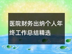 醫(yī)院財務(wù)出納個人年終工作總結(jié)精選