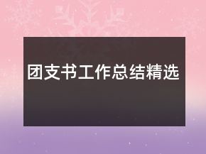 團支書工作總結(jié)精選
