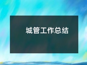 城管工作總結