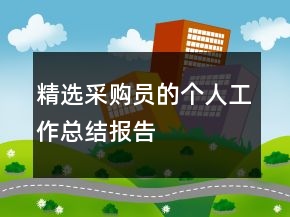 精選采購員的個人工作總結(jié)報告