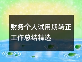財(cái)務(wù)個(gè)人試用期轉(zhuǎn)正工作總結(jié)精選