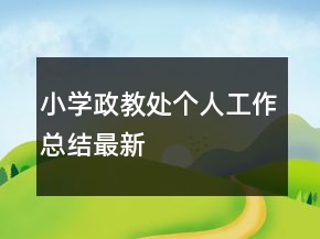 小學政教處個人工作總結最新