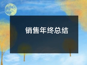 銷售年終總結