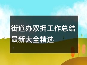 街道辦雙擁工作總結(jié)最新大全精選
