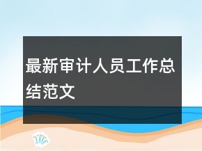 最新審計(jì)人員工作總結(jié)范文