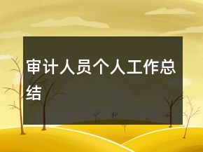 審計人員個人工作總結