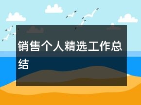 銷售個(gè)人精選工作總結(jié)