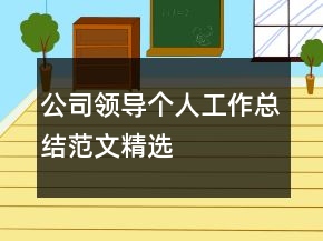 公司領(lǐng)導個人工作總結(jié)范文精選