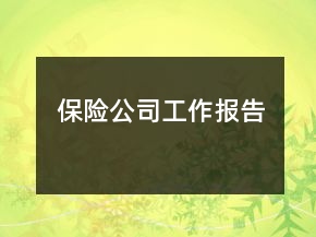 保險(xiǎn)公司工作報(bào)告