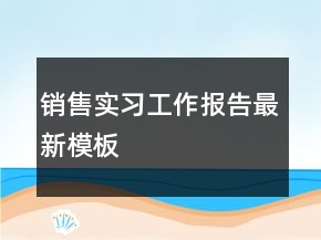 銷售實(shí)習(xí)工作報(bào)告最新模板