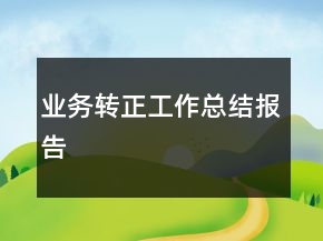 業(yè)務轉正工作總結報告