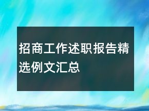 招商工作述職報告精選例文匯總