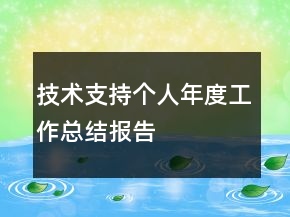 技術(shù)支持個人年度工作總結(jié)報告