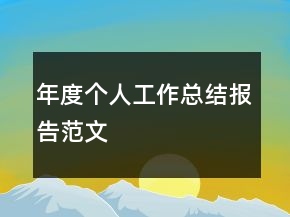 年度個人工作總結(jié)報告范文
