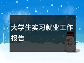 大學生實習就業(yè)工作報告