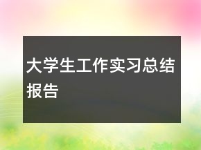 大學生工作實習總結(jié)報告
