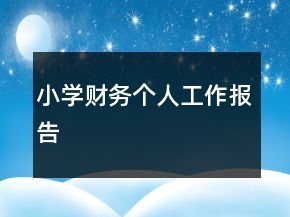 小學(xué)財務(wù)個人工作報告