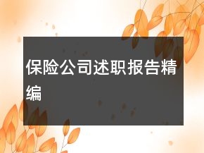 保險(xiǎn)公司述職報(bào)告精編