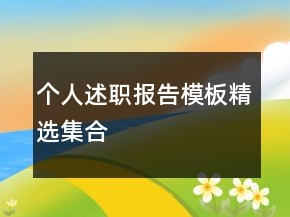 個人述職報告模板精選集合