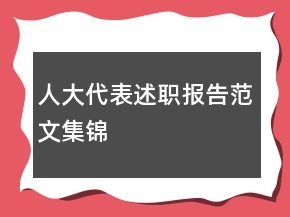 人大代表述職報(bào)告范文集錦