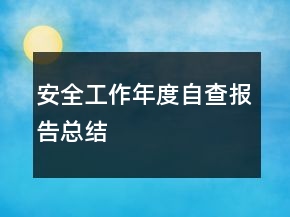 安全工作年度自查報(bào)告總結(jié)