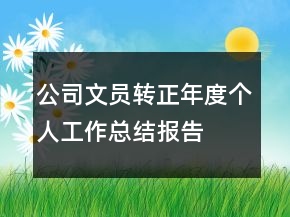公司文員轉(zhuǎn)正年度個人工作總結(jié)報告