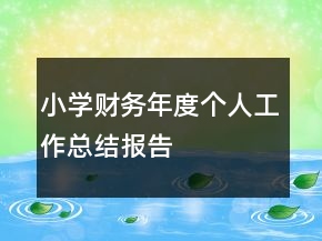 小學財務年度個人工作總結報告