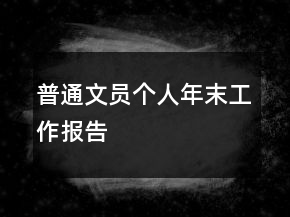 普通文員個人年末工作報告