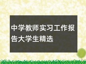 中學教師實習工作報告大學生精選