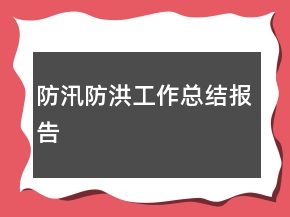 防汛防洪工作總結(jié)報告