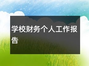 學(xué)校財務(wù)個人工作報告