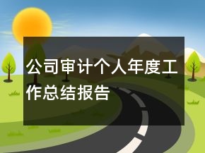 公司審計(jì)個(gè)人年度工作總結(jié)報(bào)告