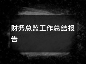 財務總監(jiān)工作總結(jié)報告