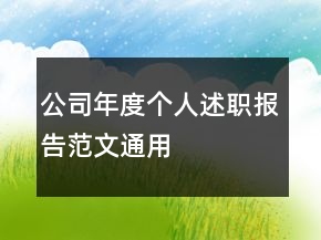 公司年度個人述職報告范文通用