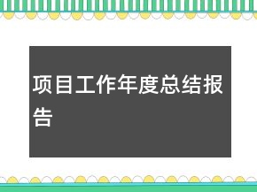 項目工作年度總結報告