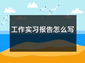 工作實習報告怎么寫